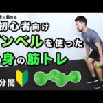 【超初心者向け】ダンベルを使った全身の筋トレ【4分間】